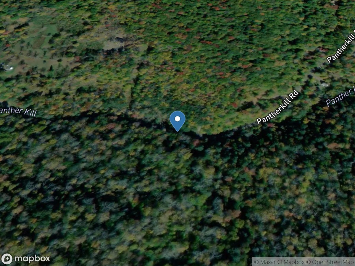 Panther Kill at Pather Kill Road near Phoenicia NY location