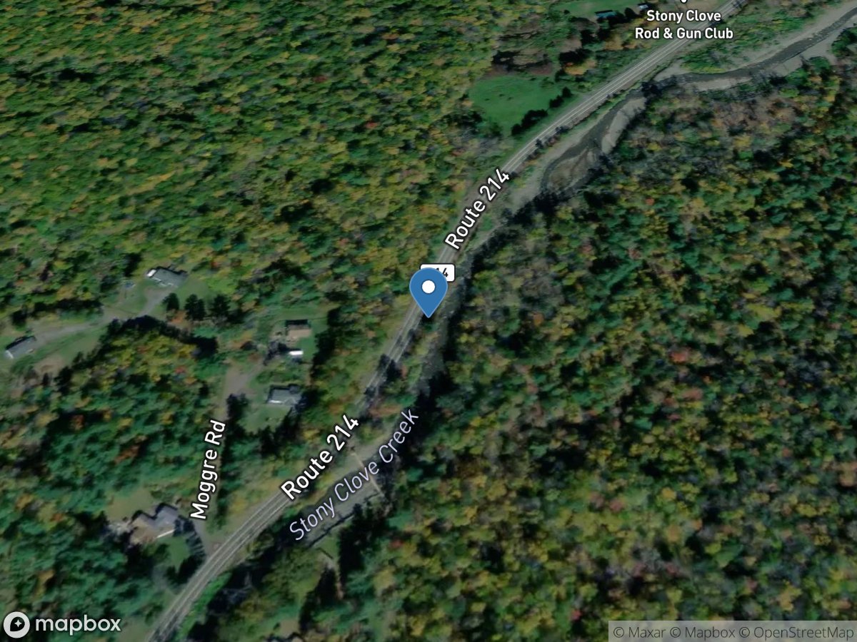 Stony Clove Creek above Moggre Road near Chichester NY location