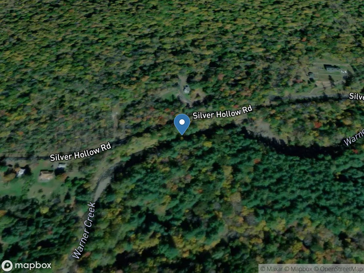 Warner Creek IN Silver Hollow near Phoenicia NY location