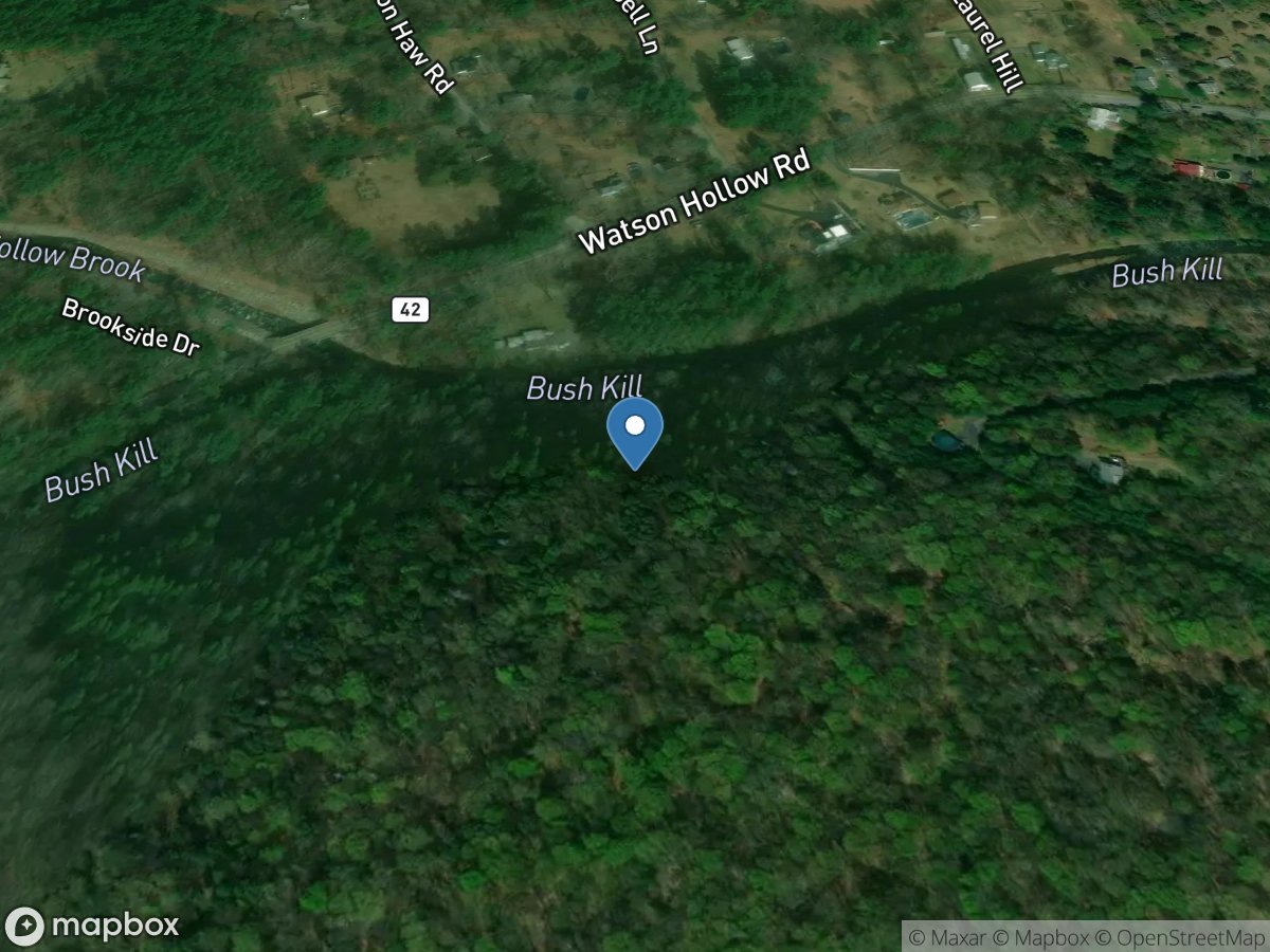 Bush Kill below Maltby Hollow Bk at West Shokan NY location