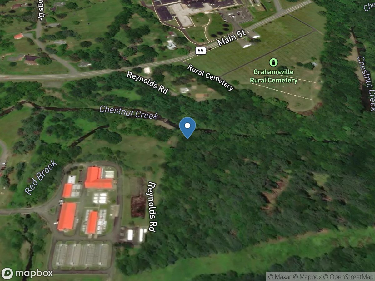 Chestnut Creek at Grahamsville NY location