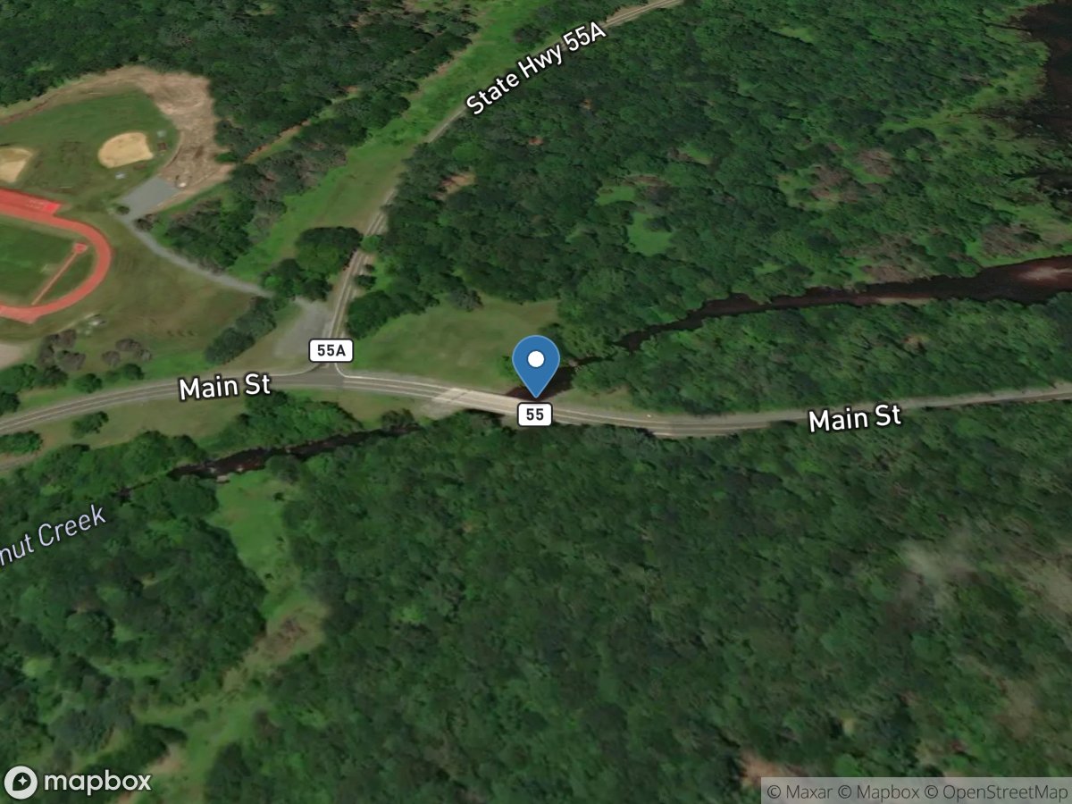 Chestnut Creek at Mouth at Grahamsville NY location