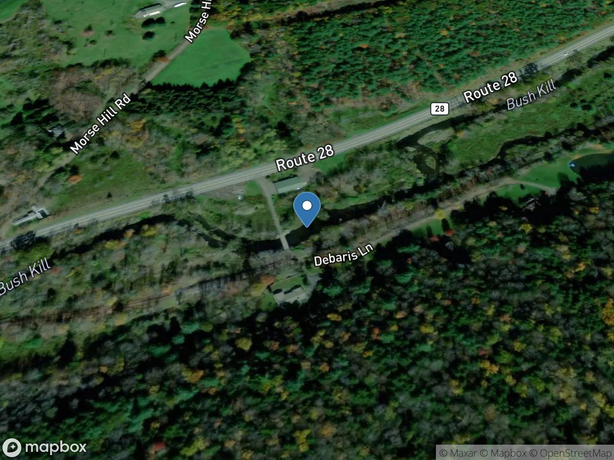 Bush Kill near Arkville NY location