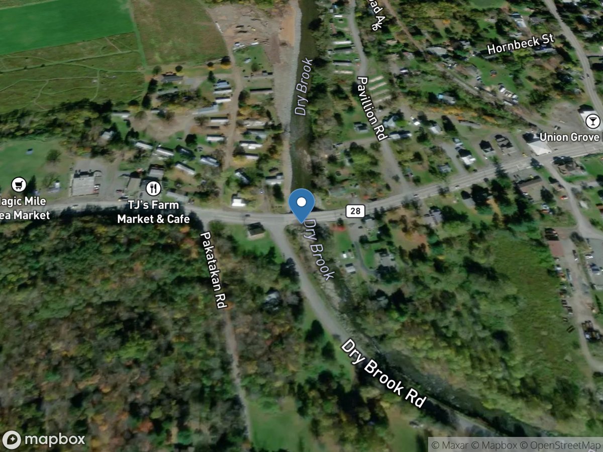 Dry Brook at Arkville location