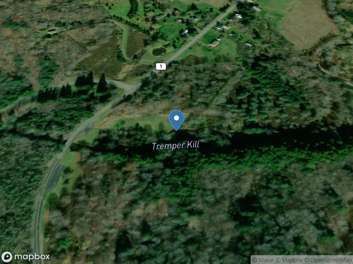 Tremper Kill near Andes NY location