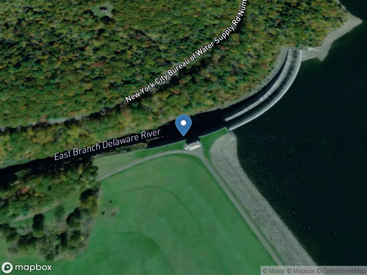 Dummy 14-Pepacton Releases location