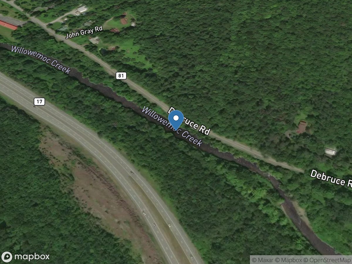 Willowemoc Creek near Livingston Manor NY location