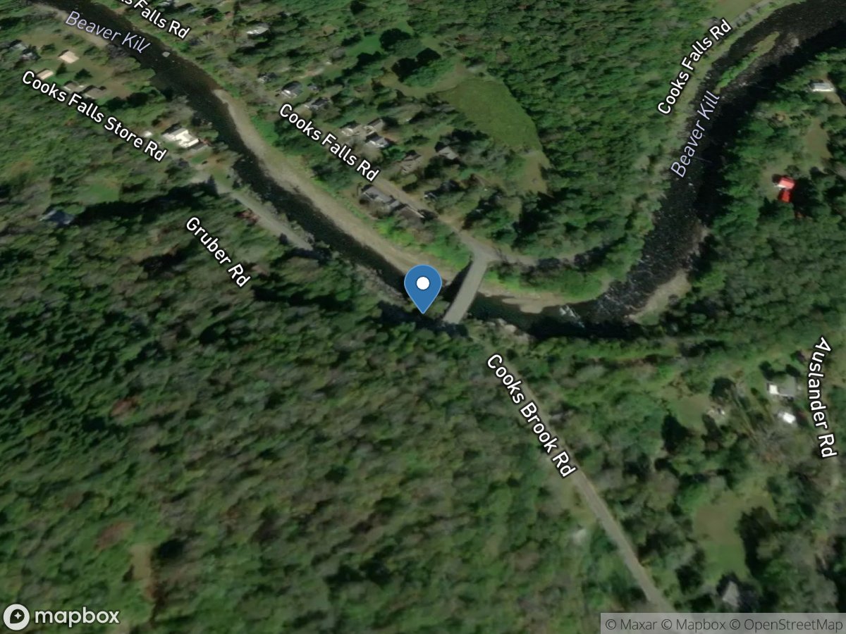 Beaver Kill at Cooks Falls NY location