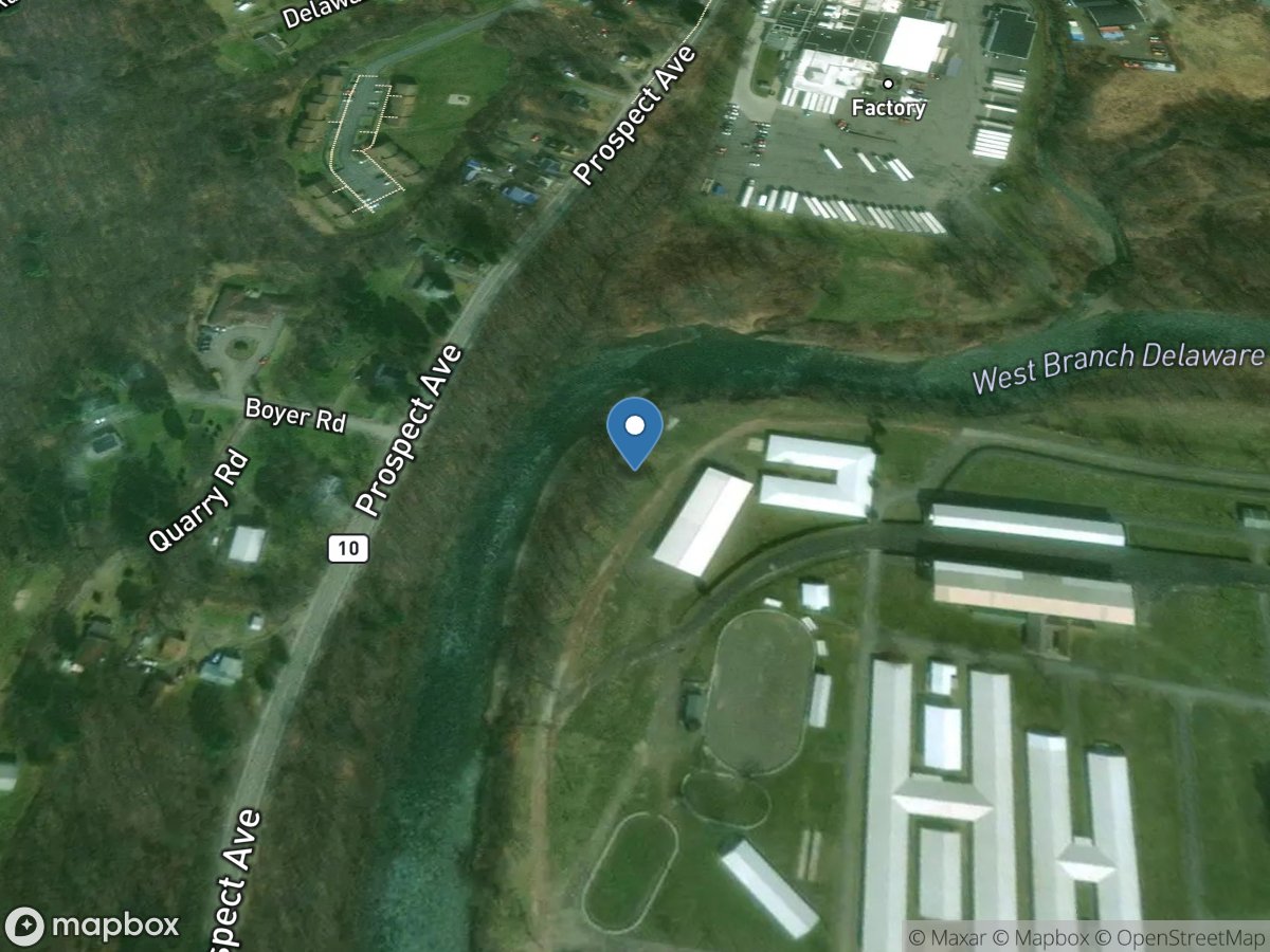 West Branch Delaware River at Walton NY location