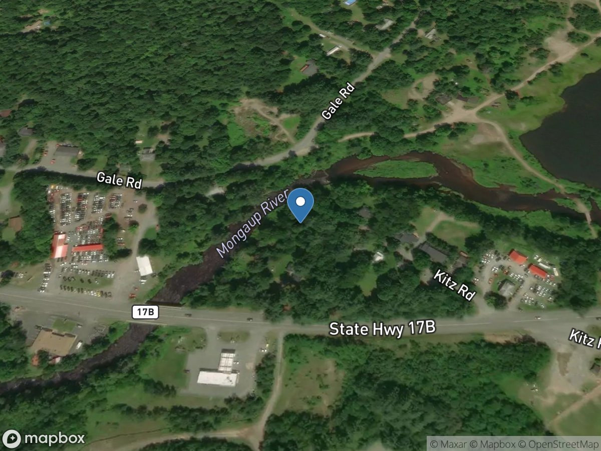 Mongaup River at Mongaup Valley NY location