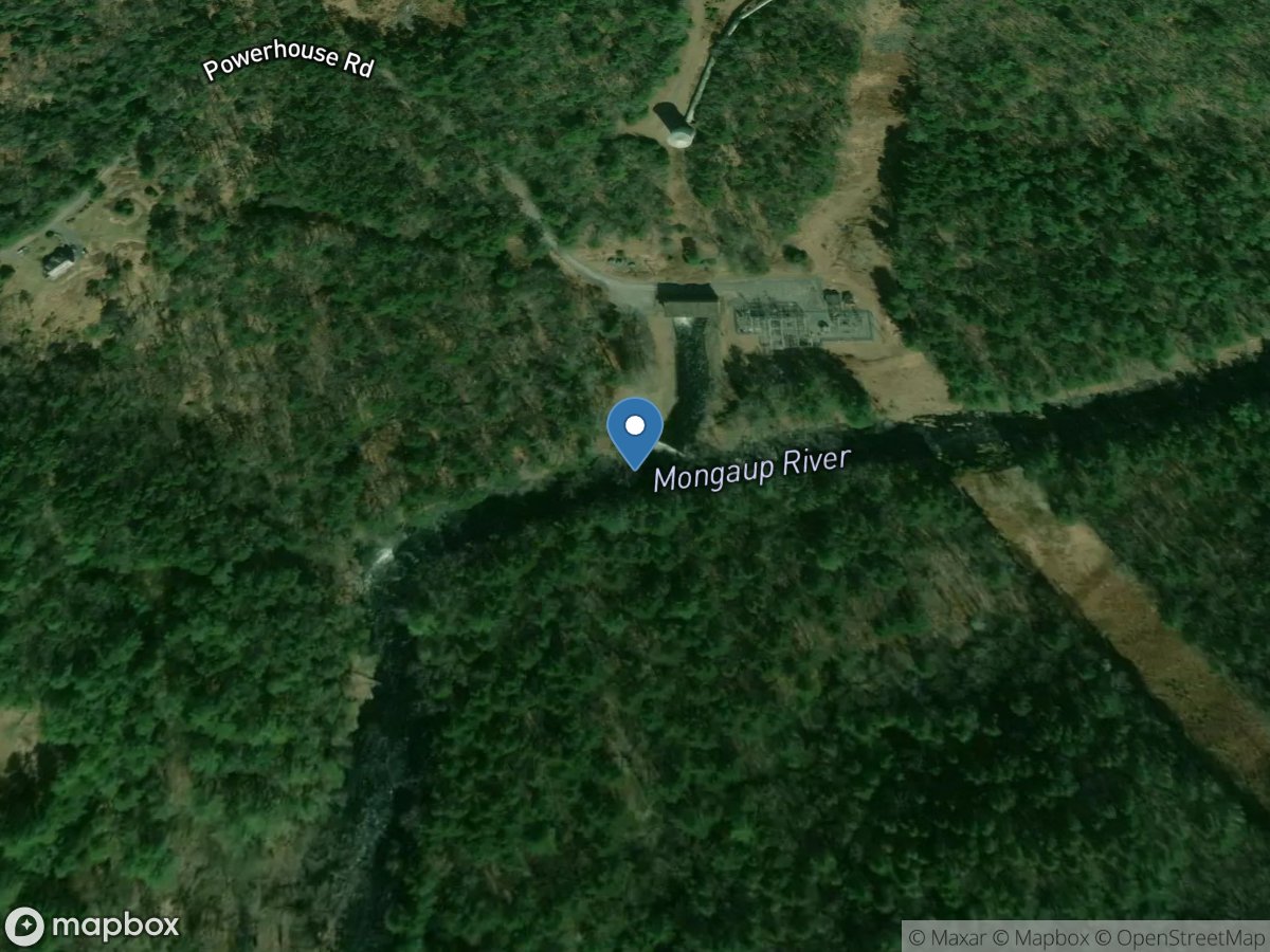 Mongaup River near Mongaup NY location