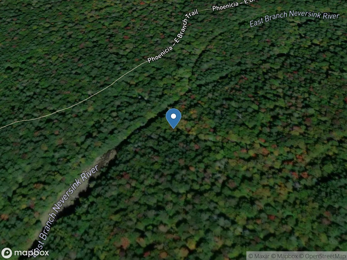 E Branch Neversink River Northeast of Denning NY location