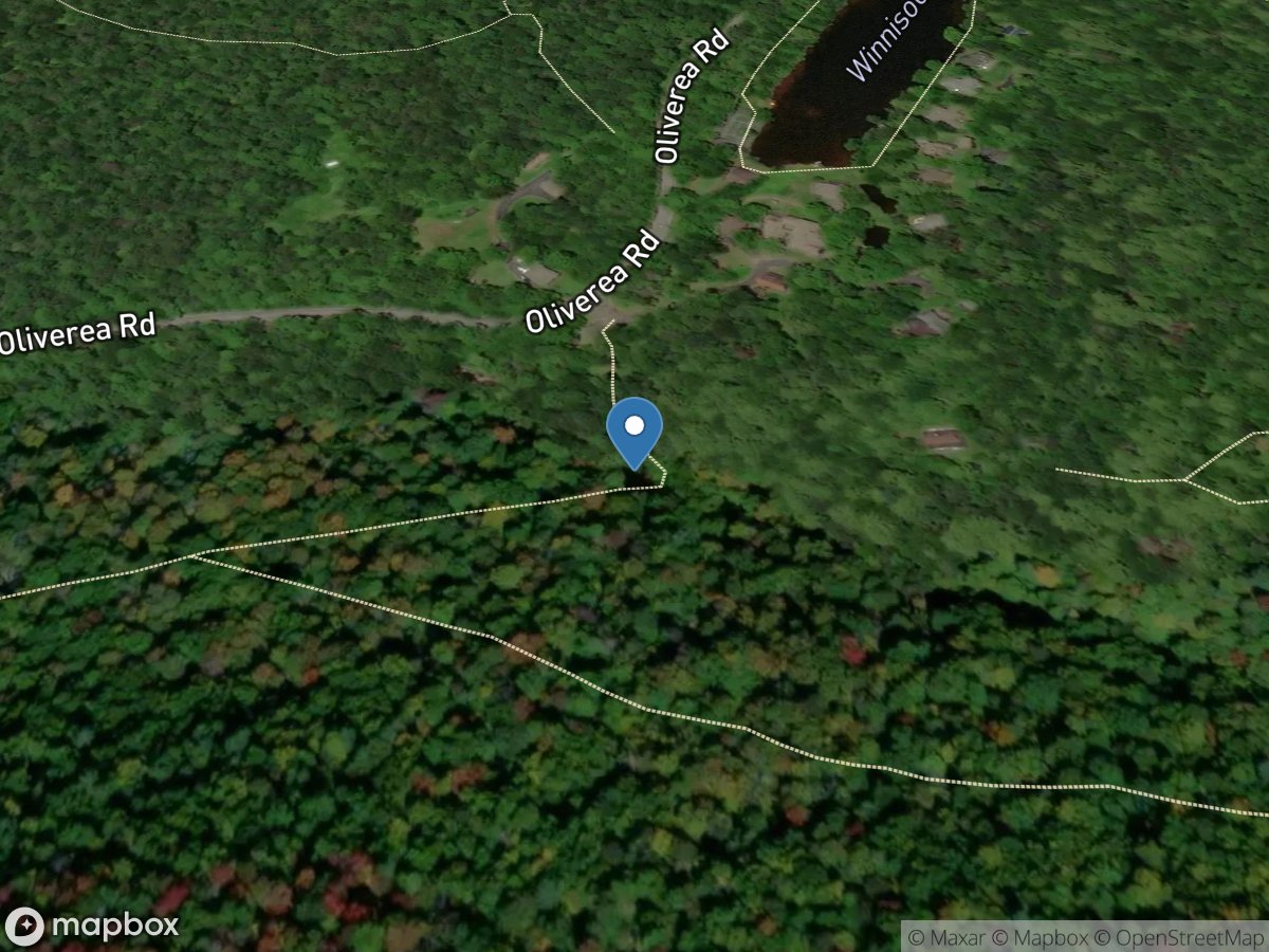 W Branch Neversink River at Winnisook L near Frost Valley NY location