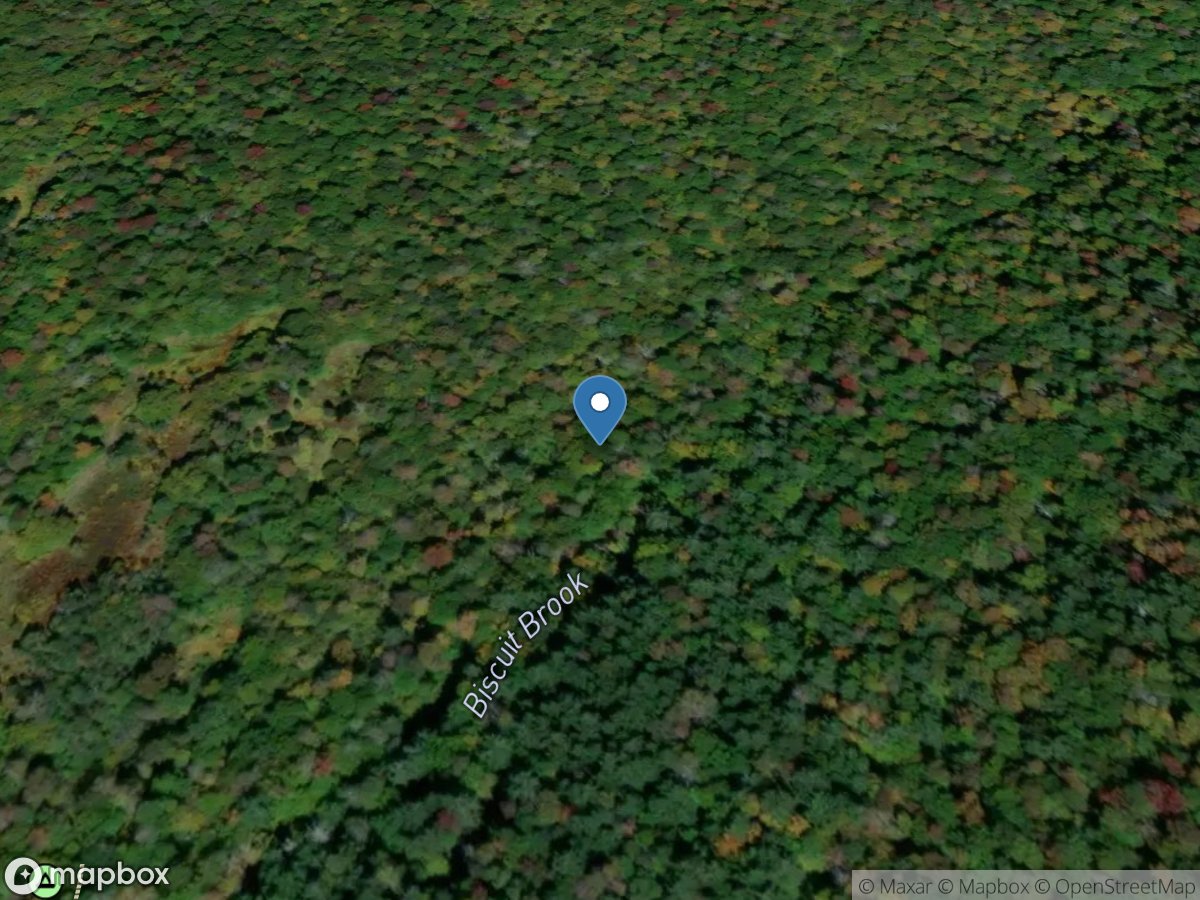 Biscuit Bk above Pigeon Bk at Frost Valley NY location