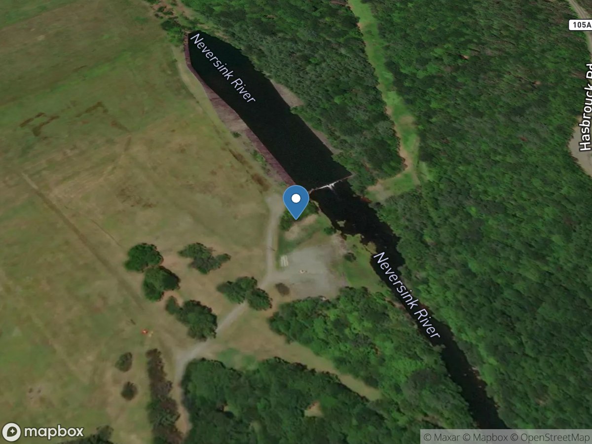 Neversink River at Neversink NY location