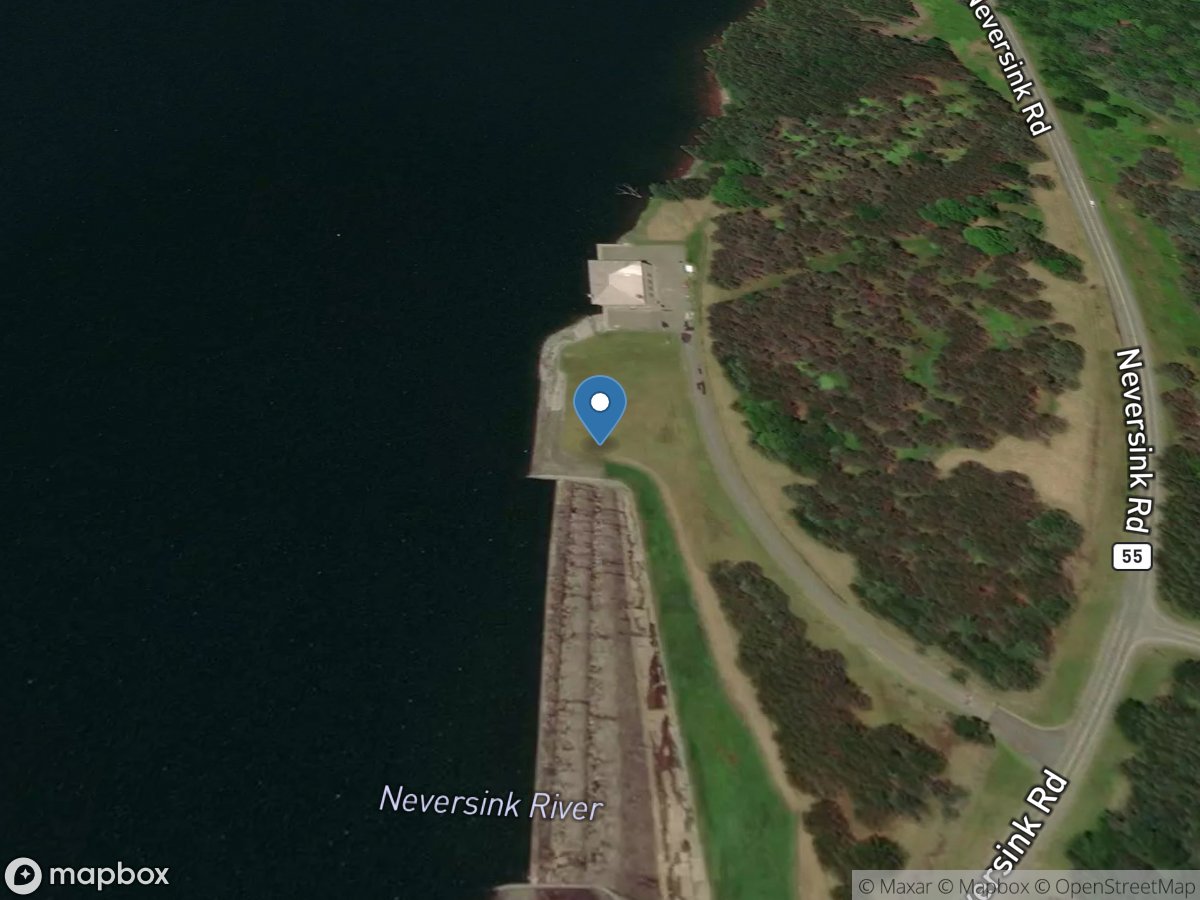 Dummy 18a-Neversink Releases location