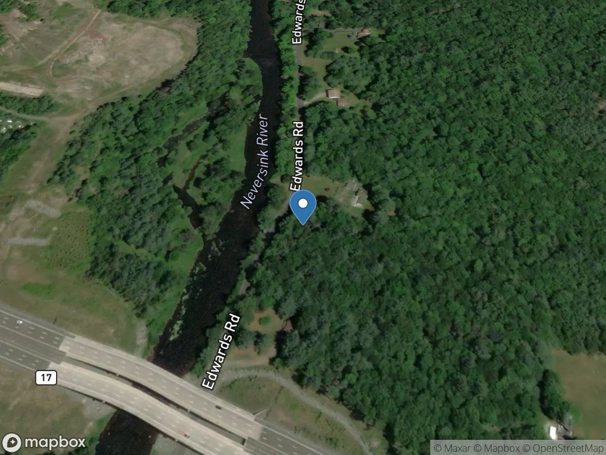 Neversink River at Bridgeville NY location