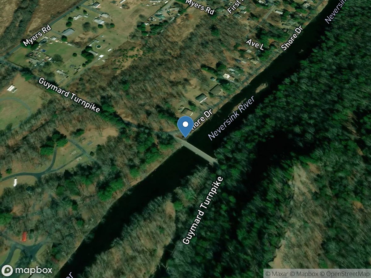 Neversink River at Godeffroy NY location