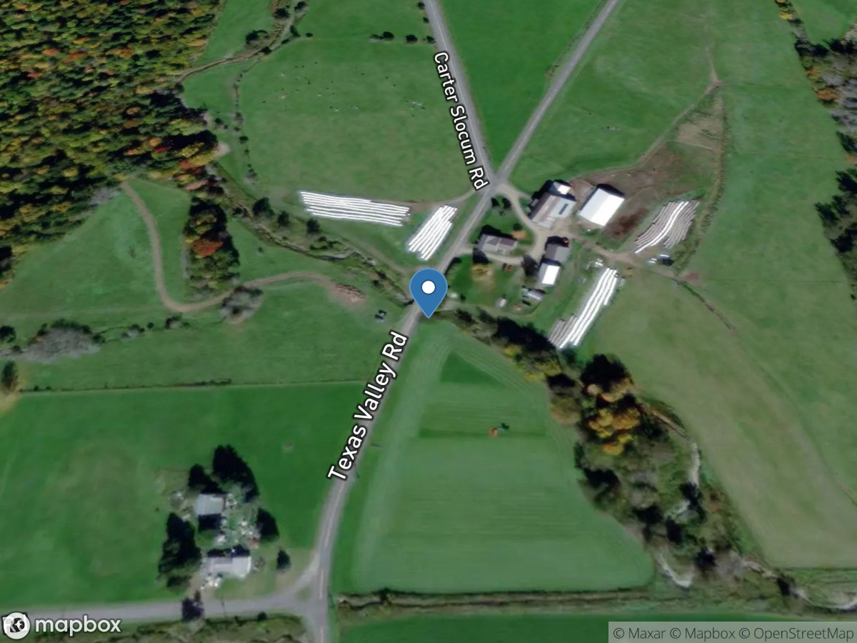 Merrill Creek Tributary near Texas Valley NY location