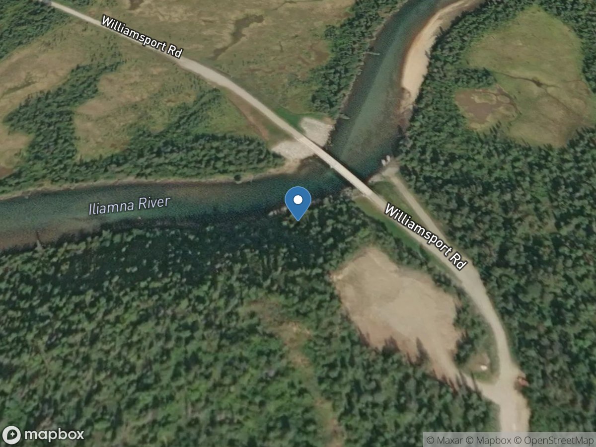 Iliamna River near Pedro Bay AK location