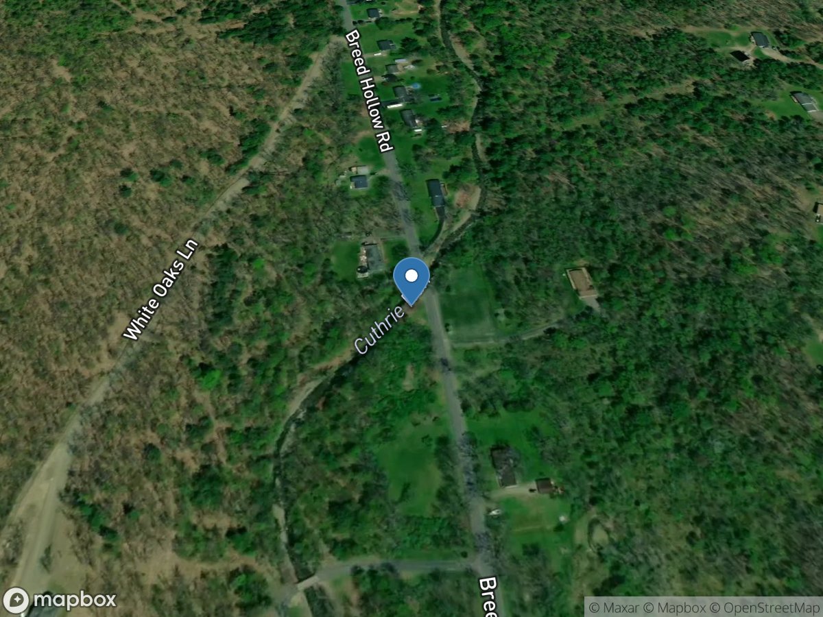 Cuthrie Run near Big Flats NY location