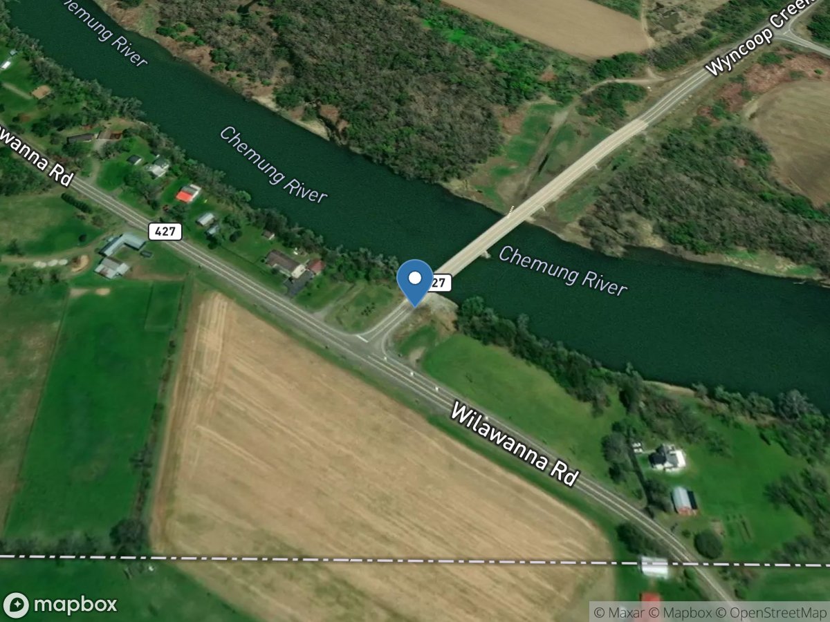 Chemung River at Chemung NY location