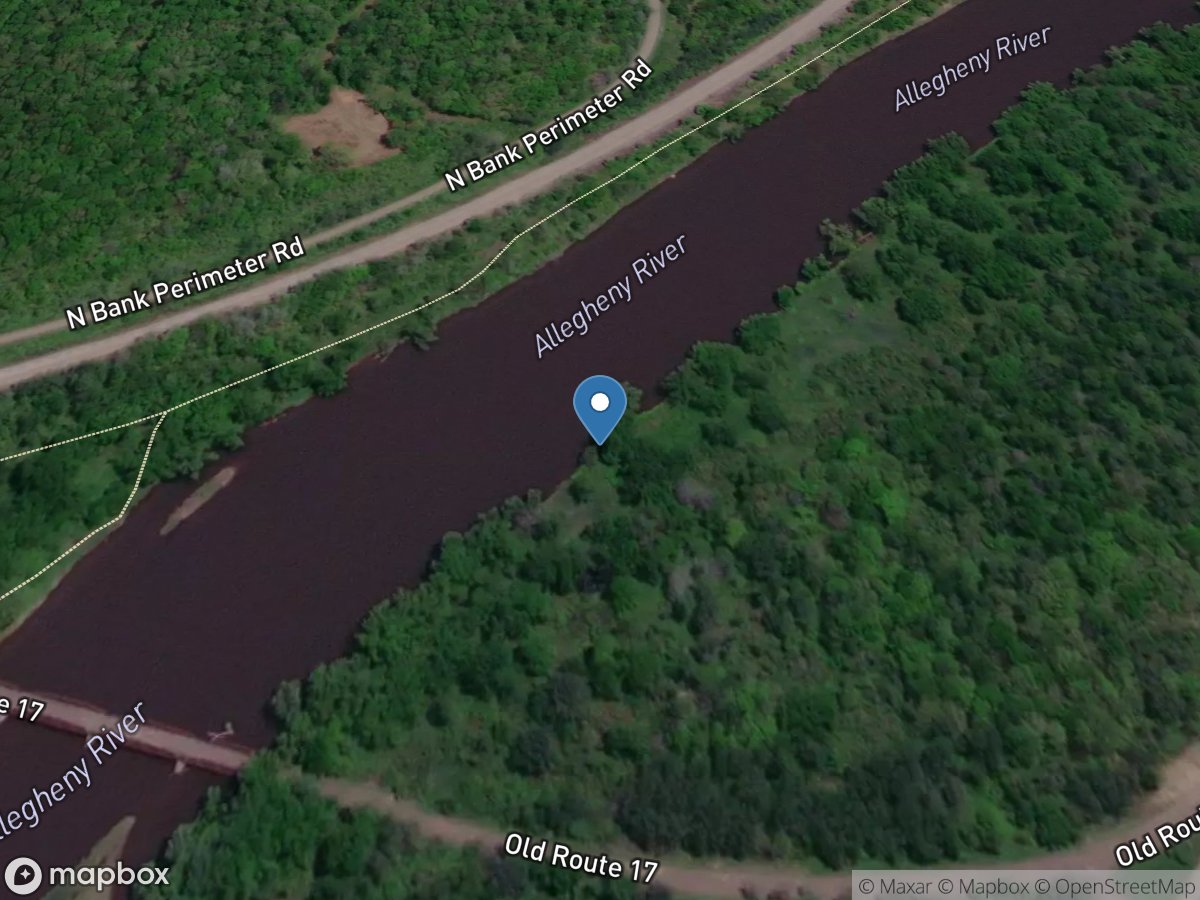 Allegheny River at Red House NY location