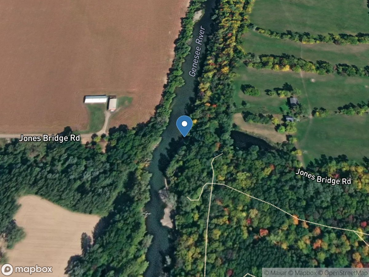 Genesee River near Mount Morris NY location