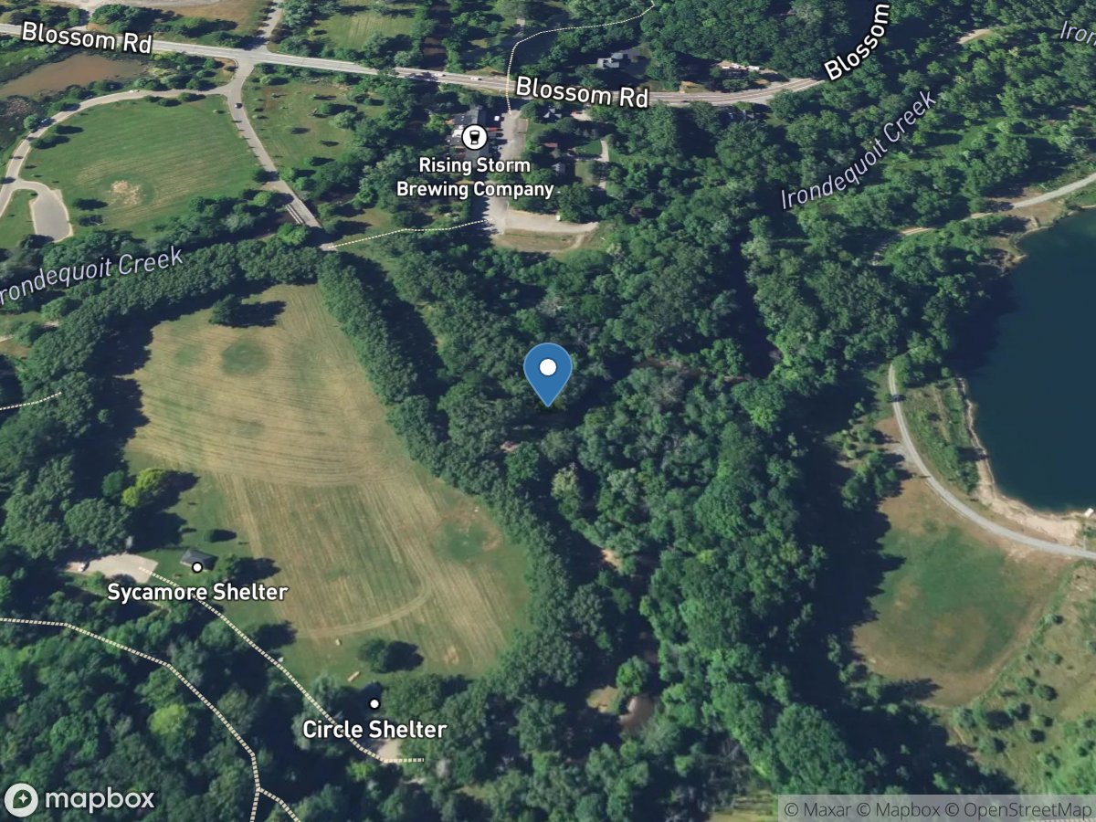 Irondequoit Creek above Blossom Road near Rochester NY location