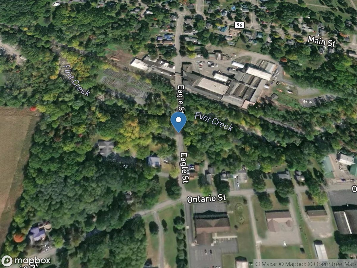 Flint Creek at Phelps NY location