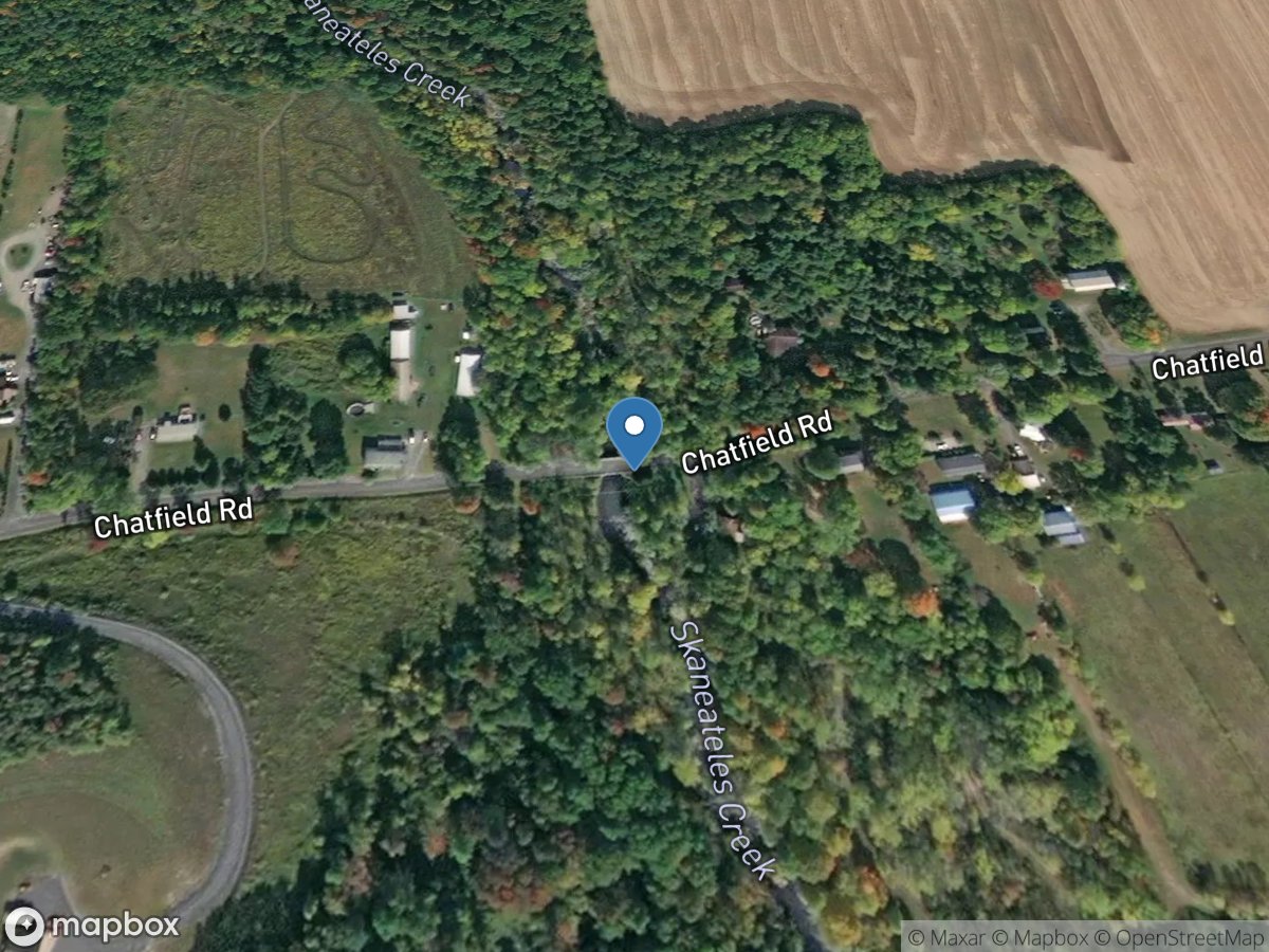 Skaneateles Creek near Skaneateles Junction NY location