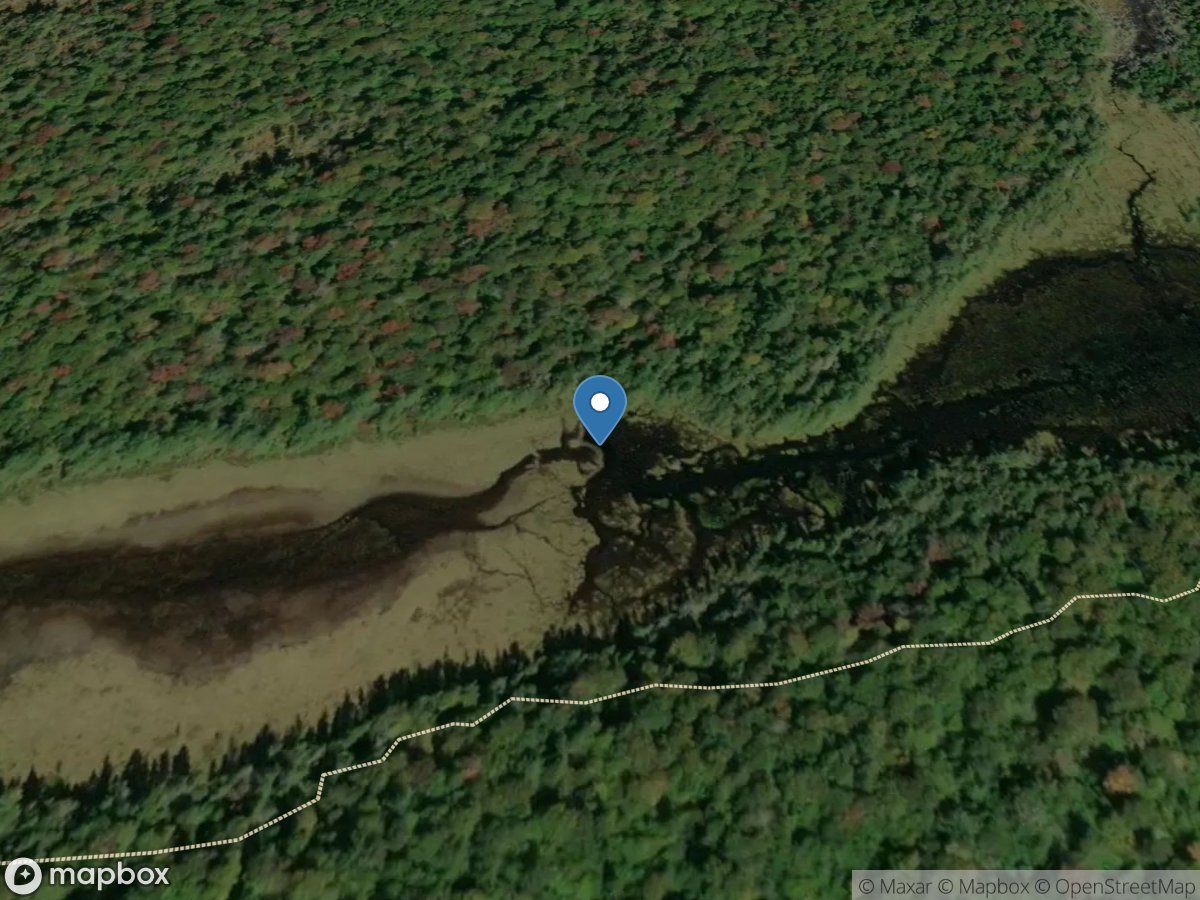 Constable Pond Outlet near Big Moose NY location