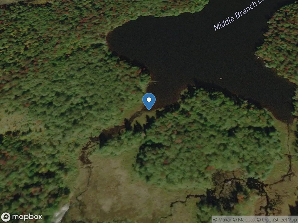 Middle Branch Lake Outlet near Old Forge NY location