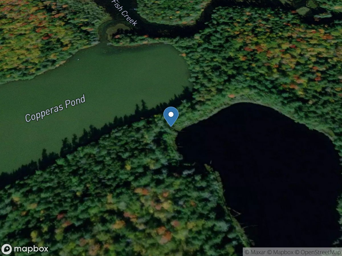 East Copperas Pond Outlet near Floodwood NY location
