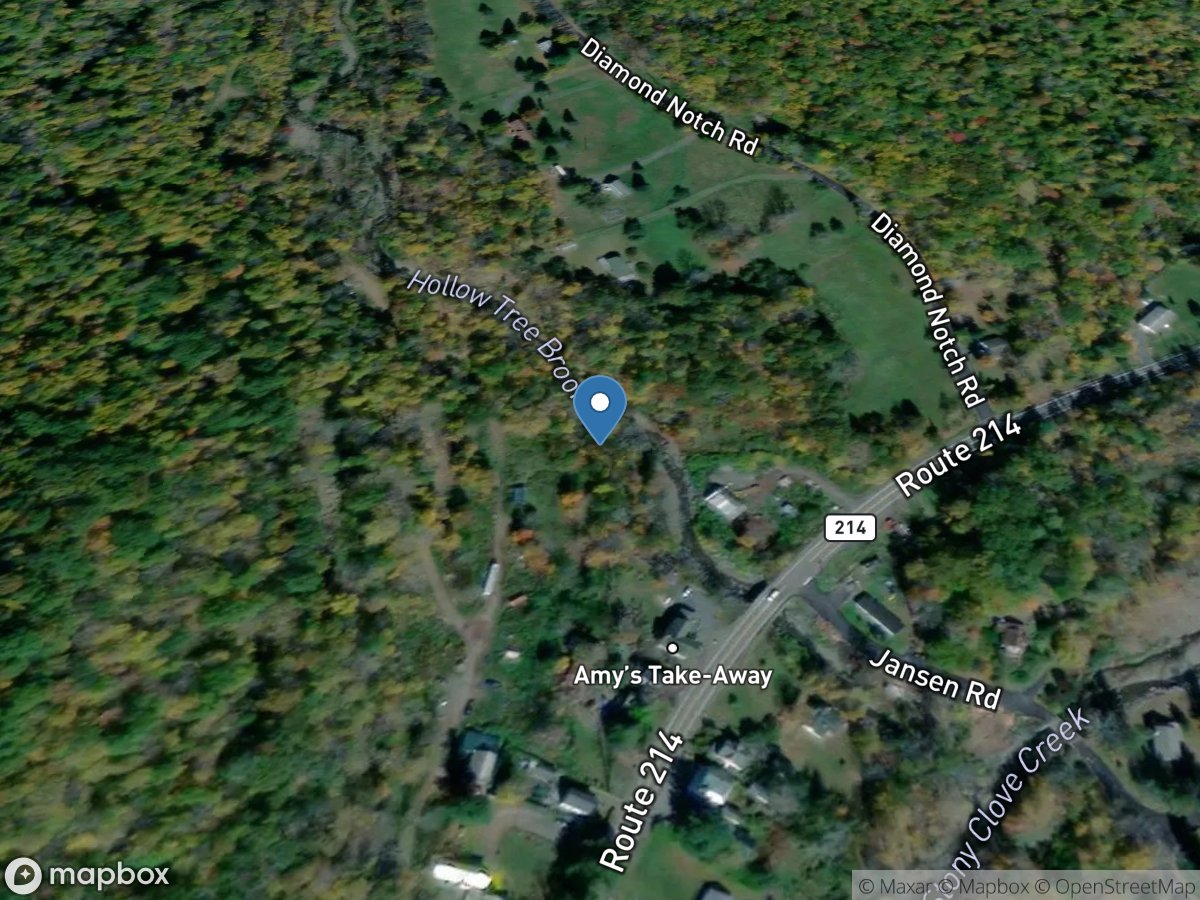 Hollow Tree Brk at Diamond Notch at Lanesville NY location