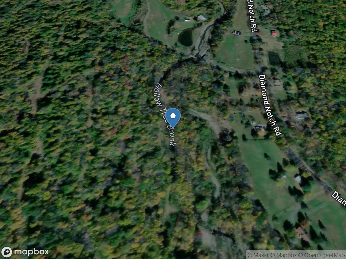 Hollow Tree Brk near Diamond Notch at Lanesville NY location
