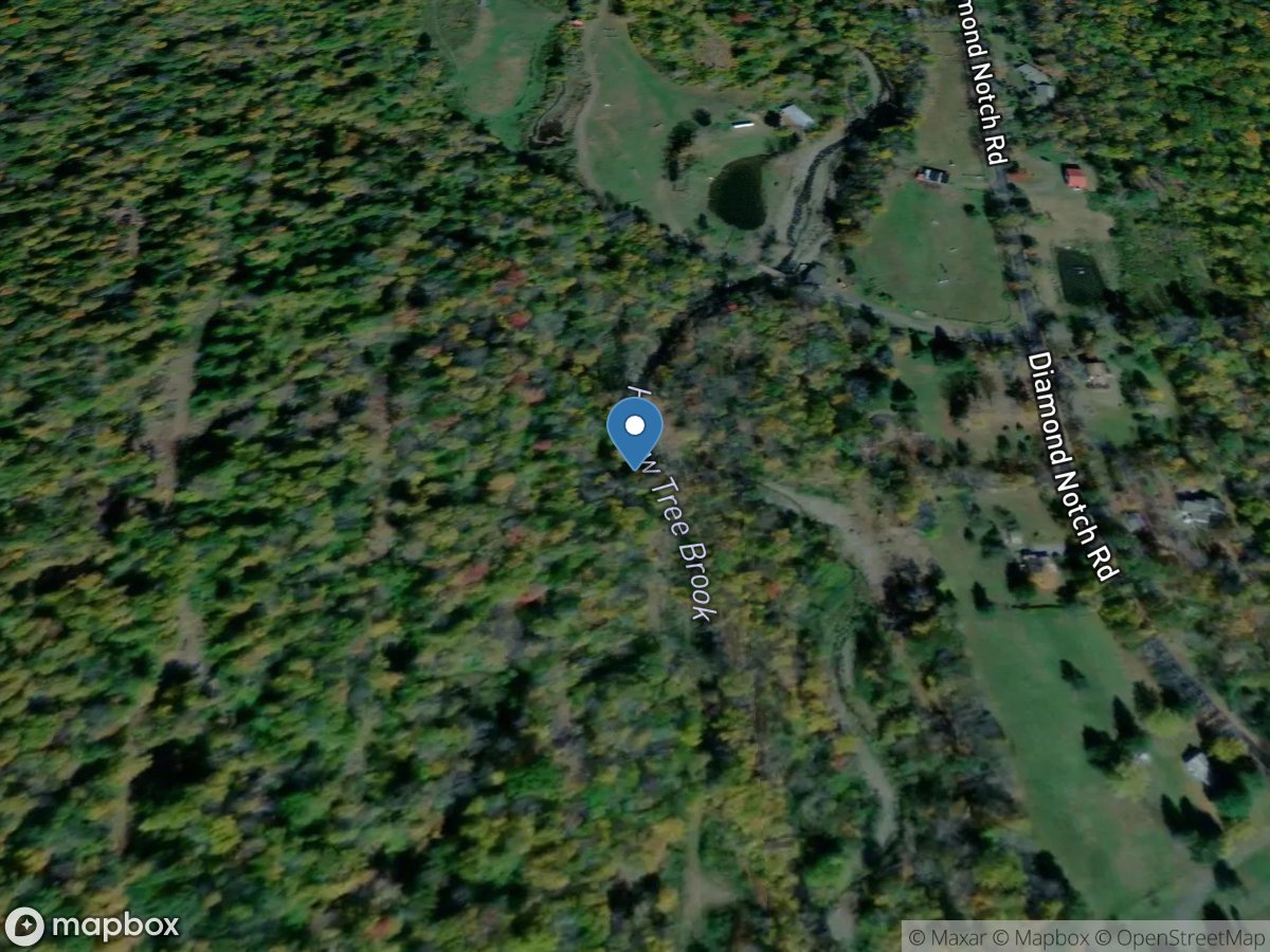 Hollow Tree Brook US Reach at Lanesville NY location