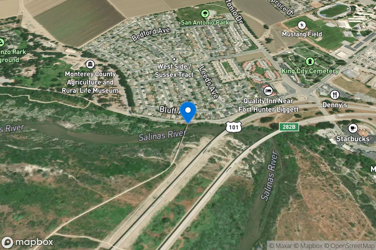 Salinas River near King City CA location