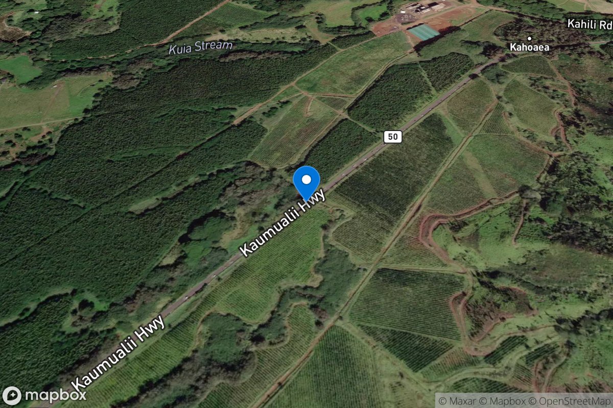 Weoweopilau Stream at Highway 50 bridge, Kauai, HI location