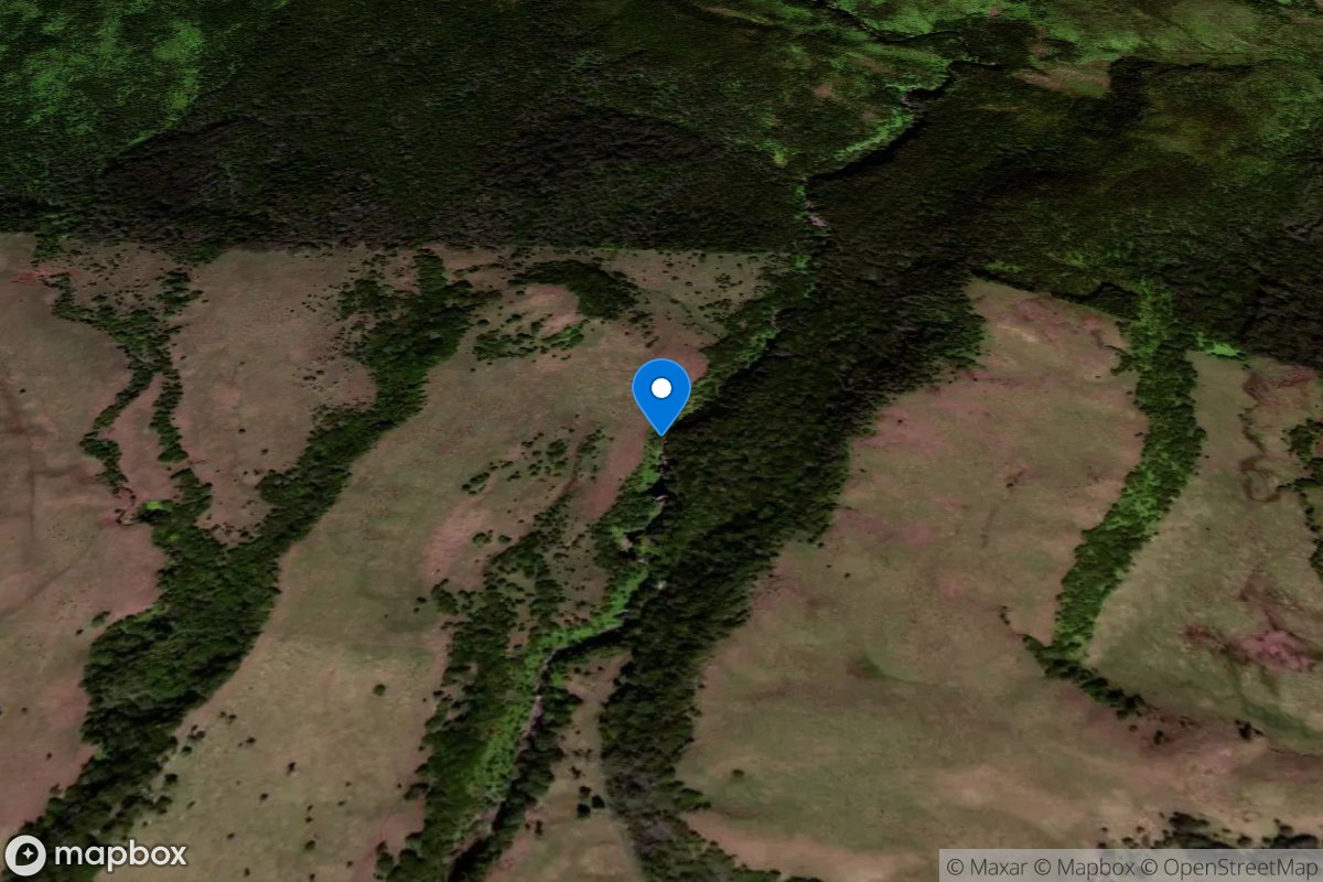 Kohakohau Stream above intake, near Kamuela, HI location