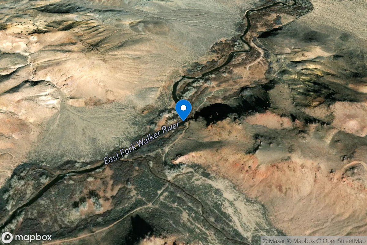 E Walker RV below Confl Rough Creek near the Elbow, NV location