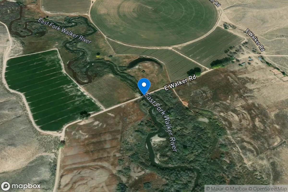 E Walker RV at Ivy Ranch Brg near Mason, NV location