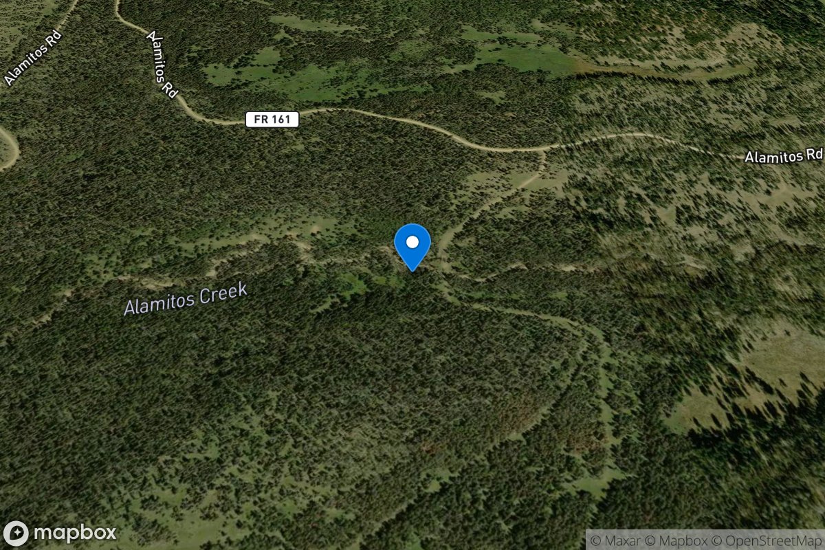 Alamitos Creek at Forest Road 161d near Holman, NM location