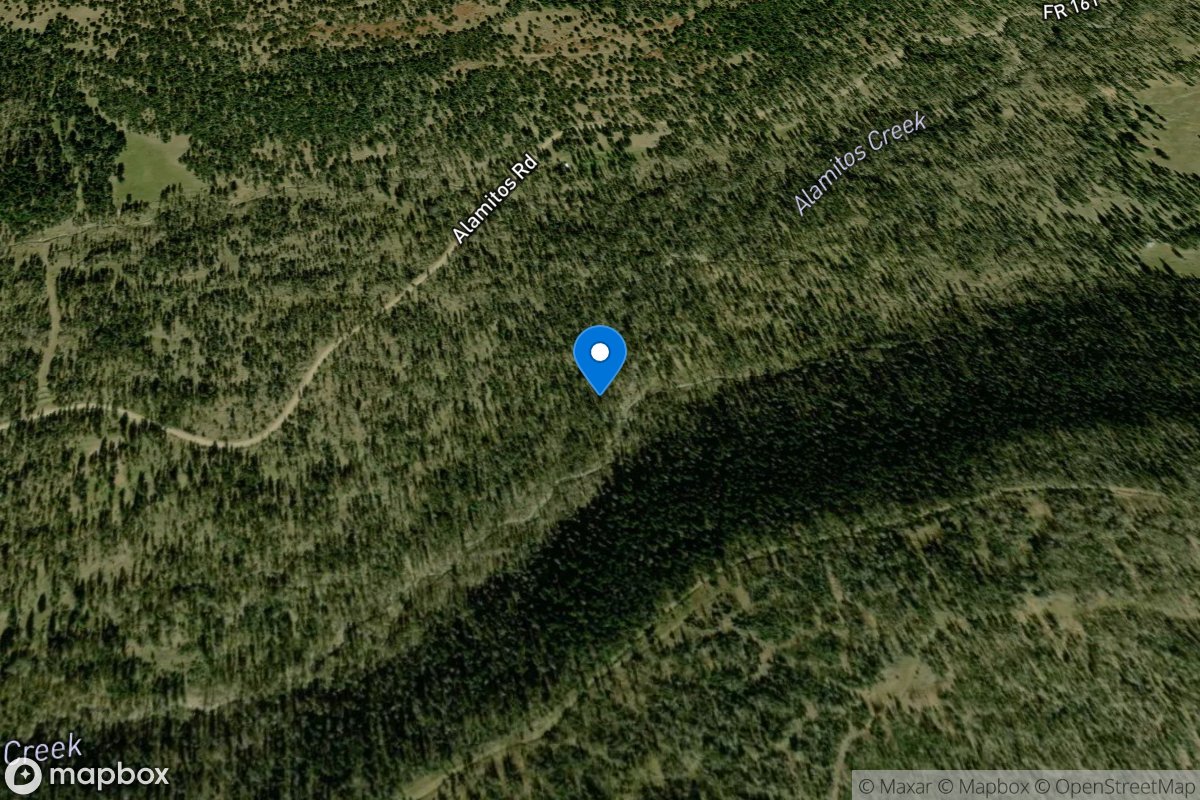 Alamitos Creek below Canoncito Ditch near Holman, NM location