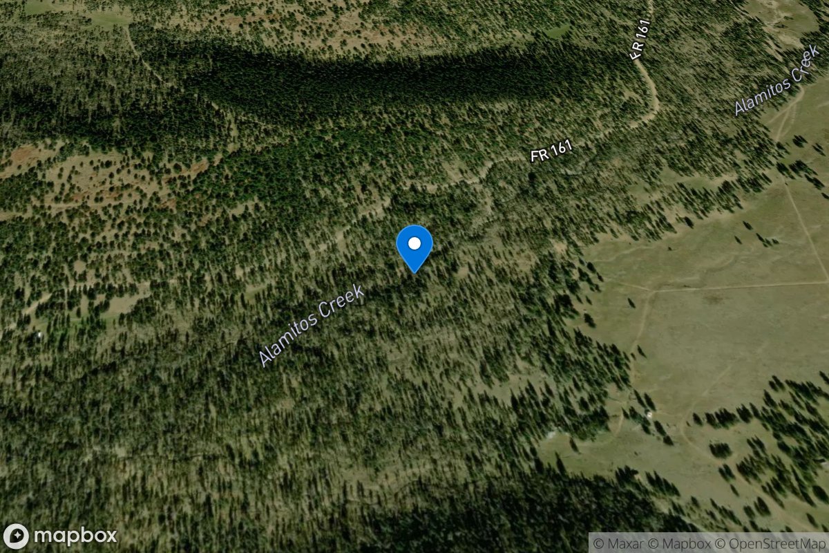 Alamitos Creek below Fr 161h near Holman, NM location