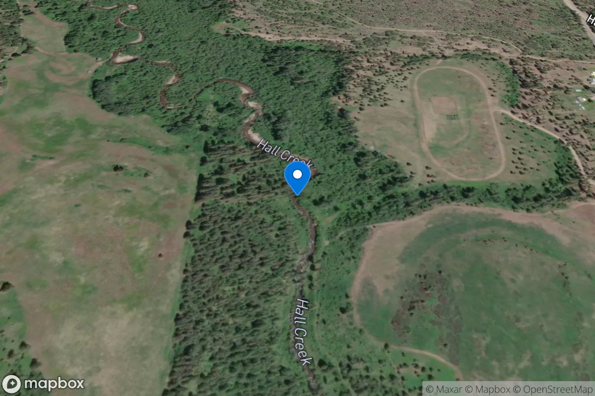 Hall Creek above Inchelium, WA location
