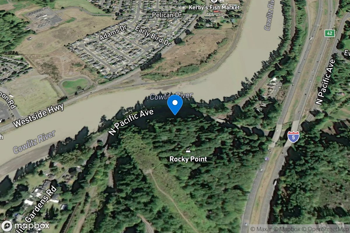 Cowlitz River near Lexington, WA location