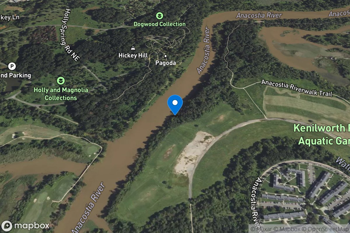 Anacostia River at Kenilworth at Washington, DC location
