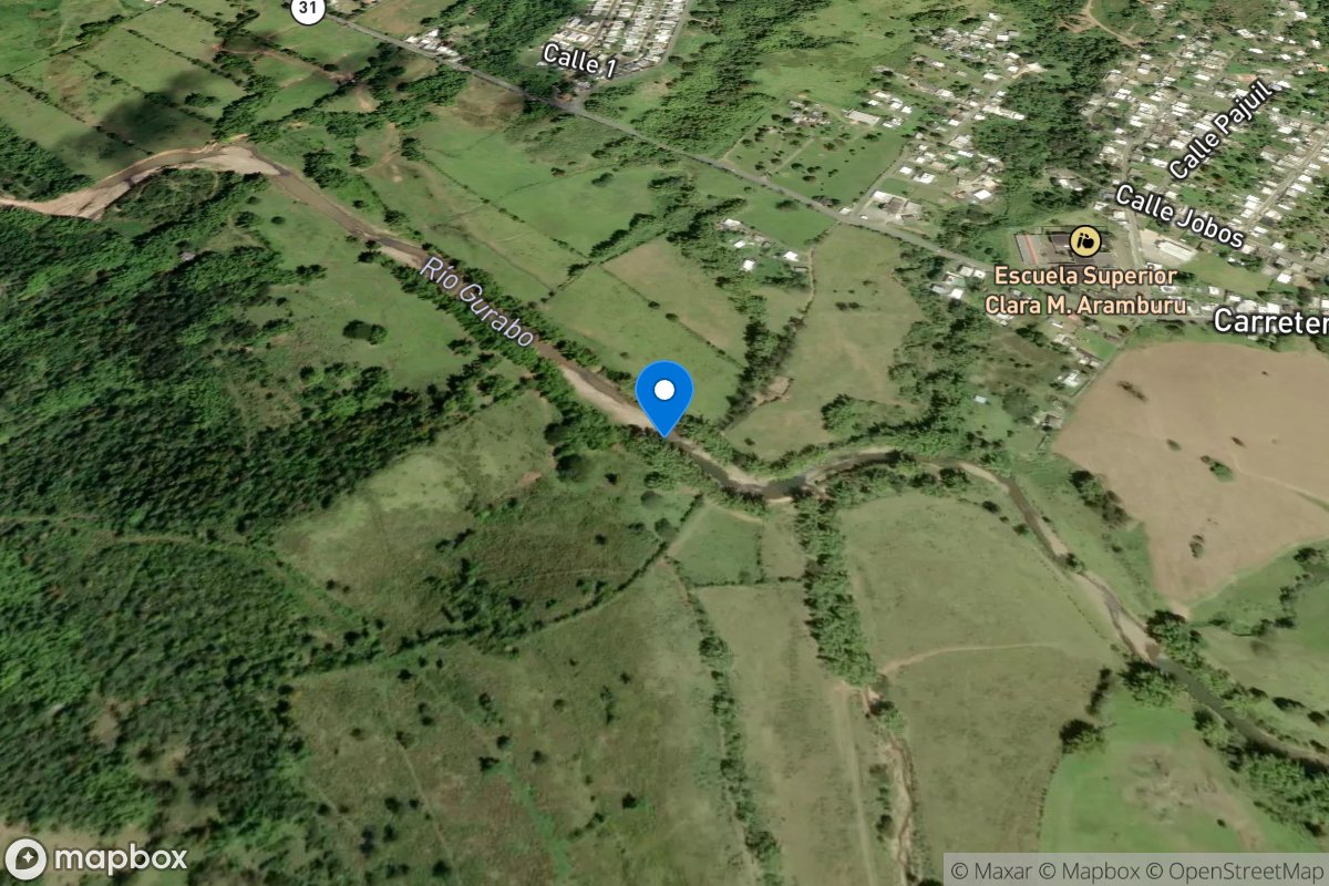 Rio Gurabo below El Mango, PR location
