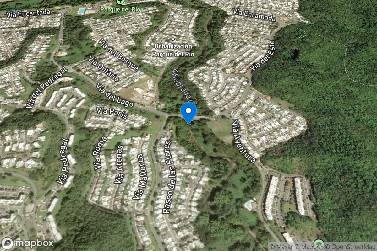 Quebrada Grande at Bo. Dos Bocas, PR location